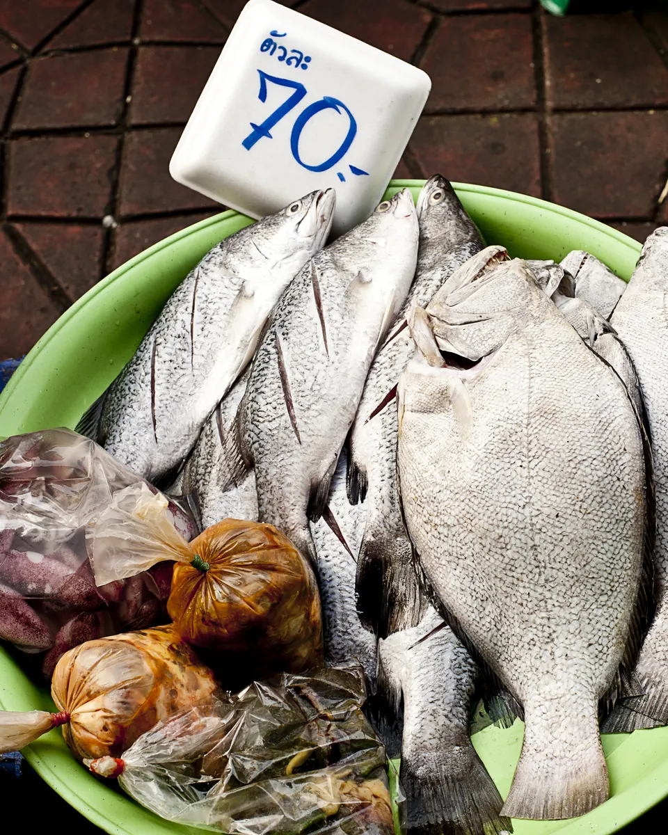A bowl of fresh fish at a Thai market stall with a handwritten 70 baht price card.